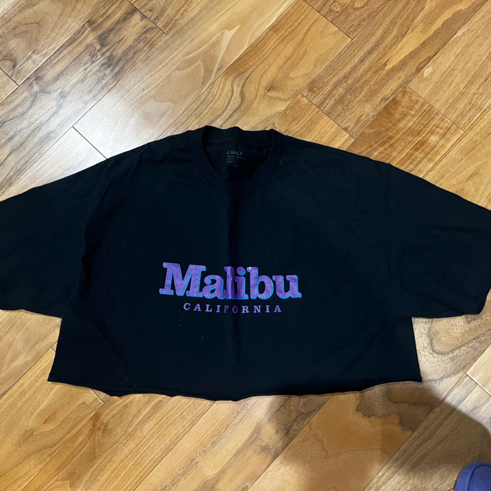Brandy Melville John Galt Crop Tee